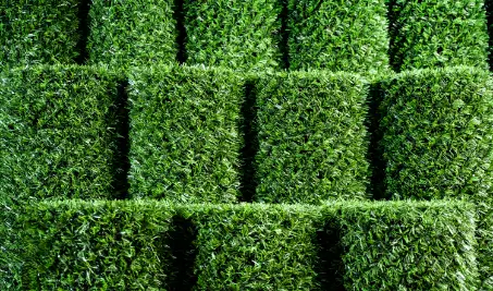 Нужен бесплатный расчет забора Grass Fence из искусственной травы в Актау?