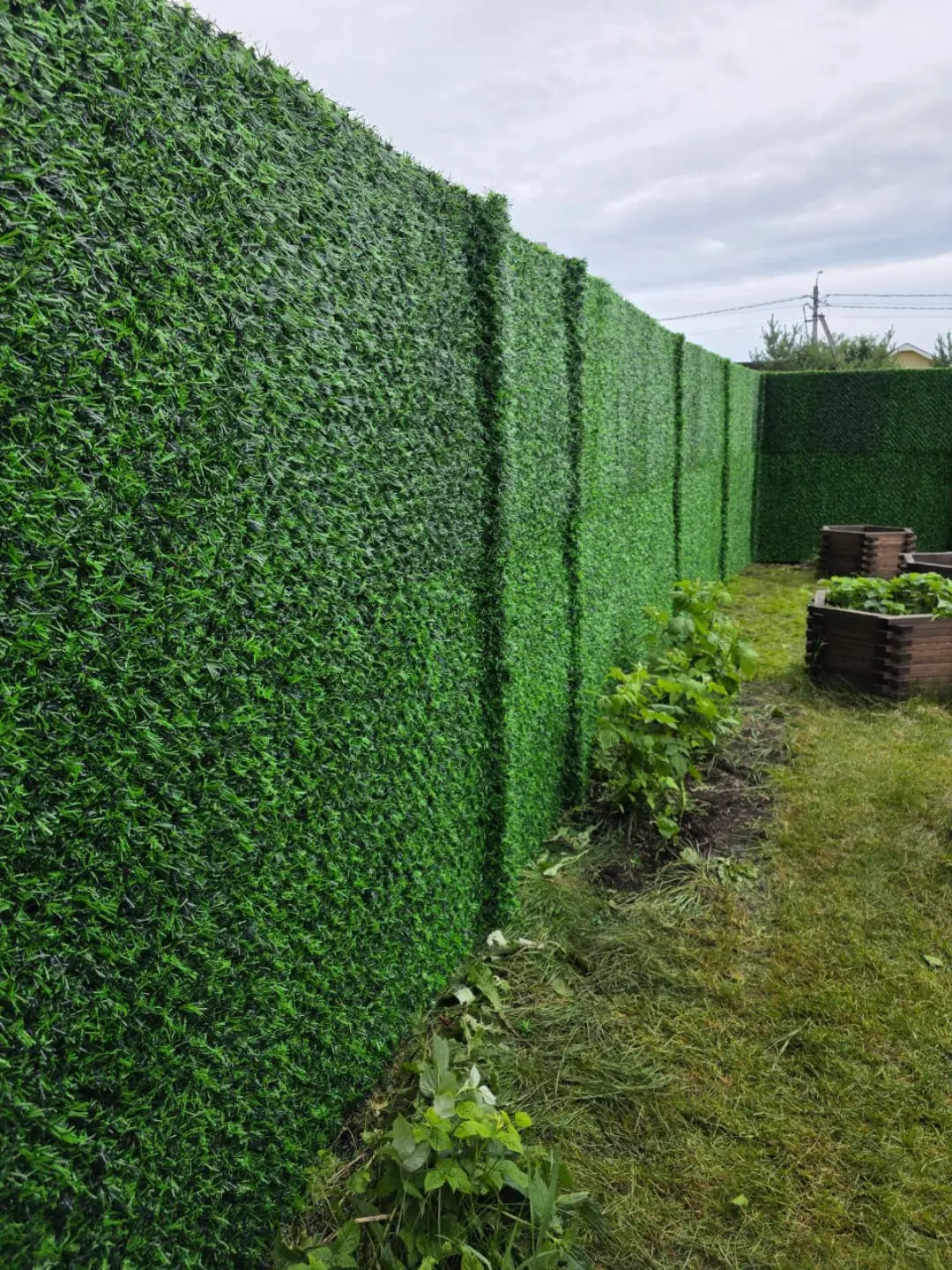 Вечнозеленый забор Grass Fence 37м фото 1 в Актау